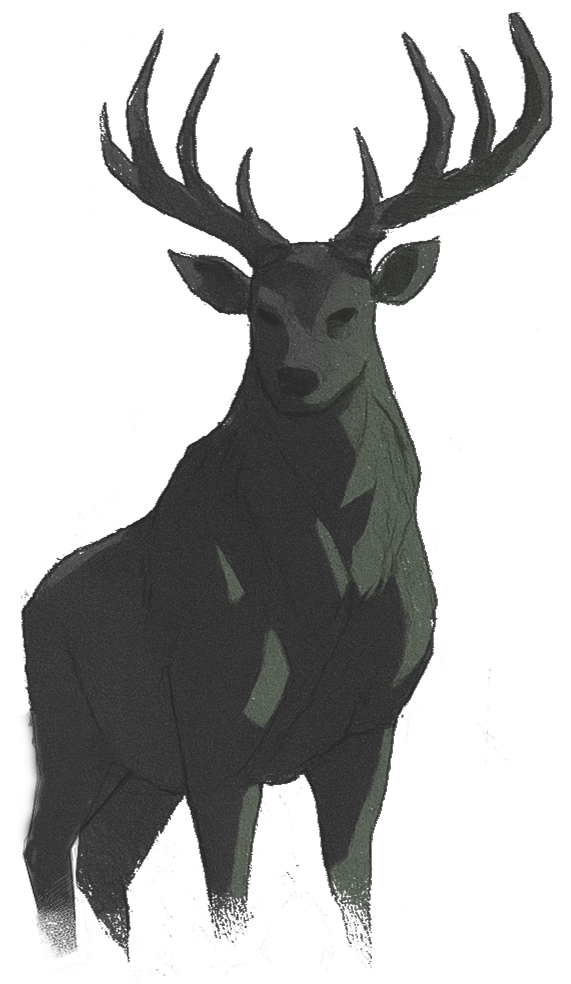Deer